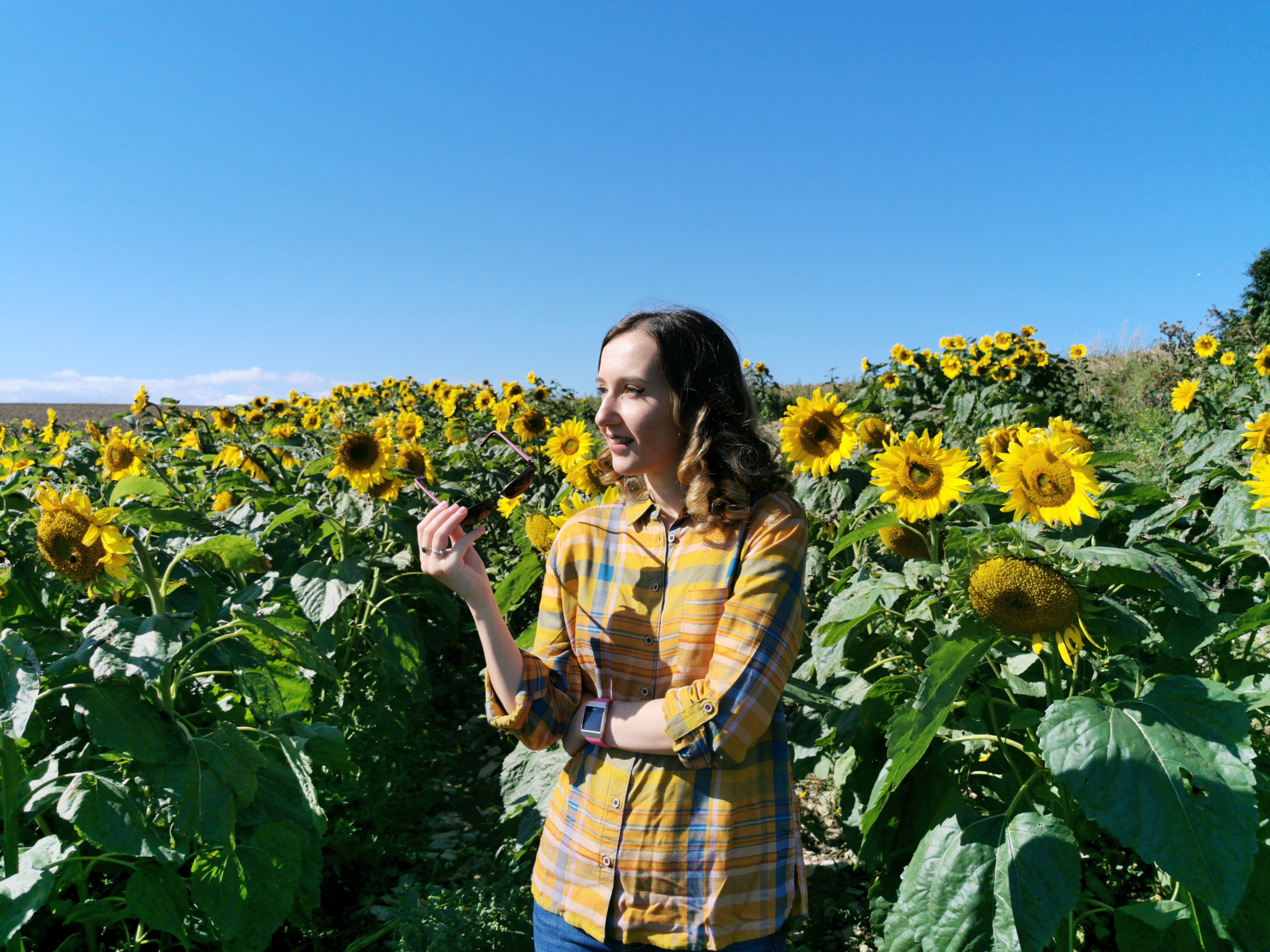 Woman in a plaid shirt in a sunflower field under a clear blue sky, holding glasses and smiling.