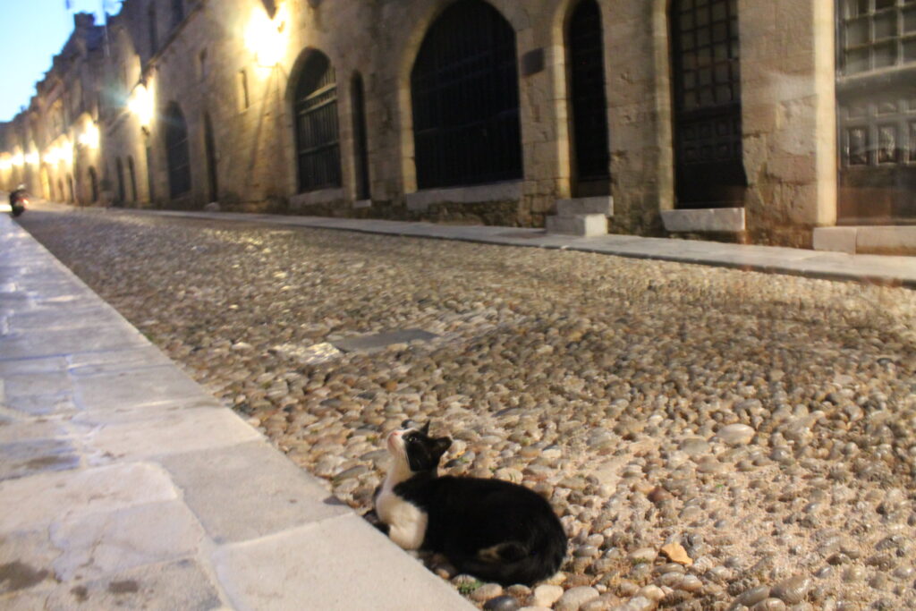 Rhodes